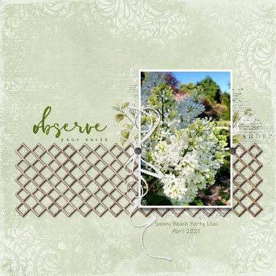 SSL 04/24/21 - Lilacs