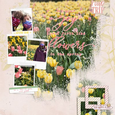 Longwood Road Trip - Tulips