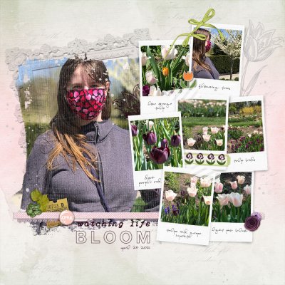 Watching Life Bloom at Longwood