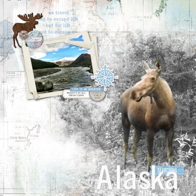 alaska-moose.jpg