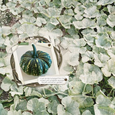 Channel Chat - Kent Pumpkin