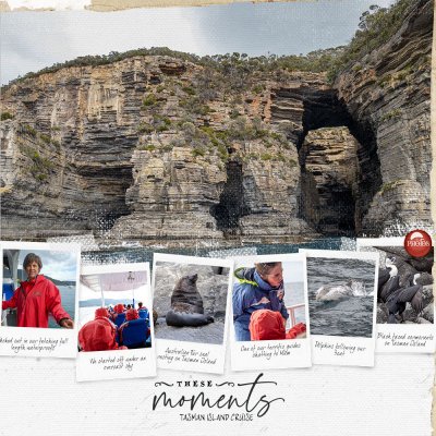 Tasman Island Cruise