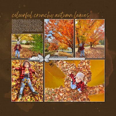 202104 Elliot Autumn Leaves