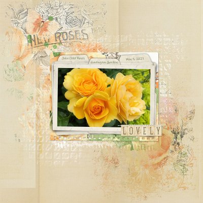 Julia Child Roses