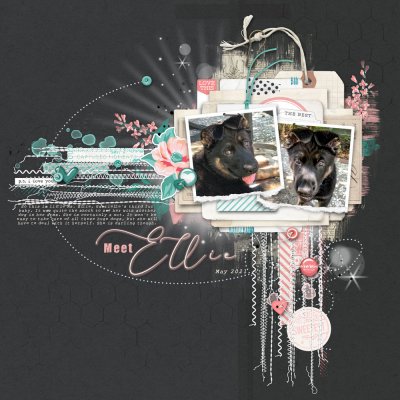 2021-5-30-MeetEllie.jpg