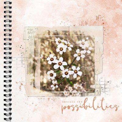 Possibilities