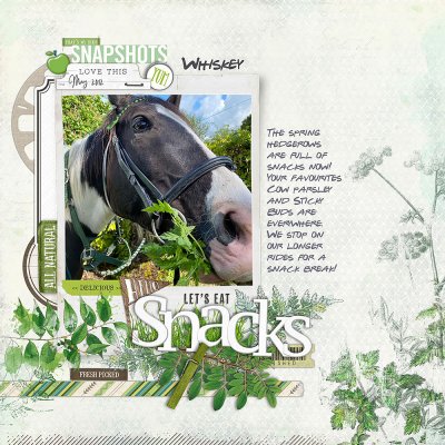 Hello Snacks