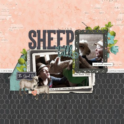 Sheep Talk
