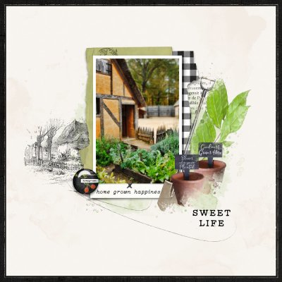 Sweet Life