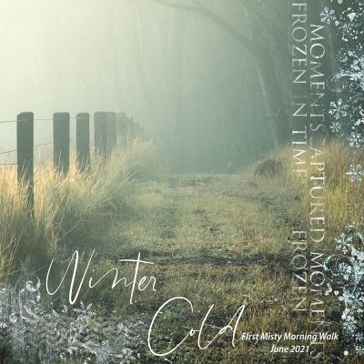 Winter Mist