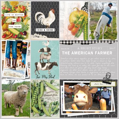 THE AMERICAN FARMER