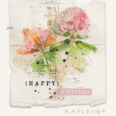 happy birthday kayleigh!