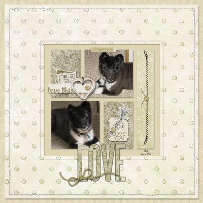 Bear Love
