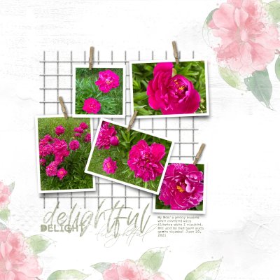 Mom's peonies