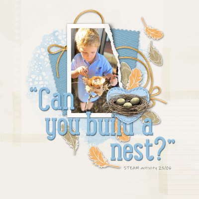 Can You Build a Nest?
