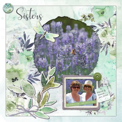Lavender sisters