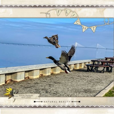 July Scraplift Chain: Lifting Carolyn_In Flight