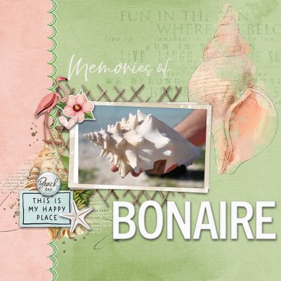 Memories of Bonaire