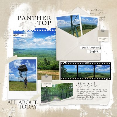 Panther-Top.jpg