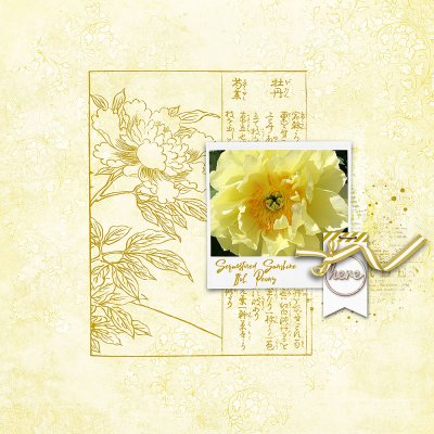 Yellow Peony