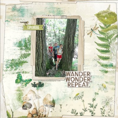 wander wonder repeat