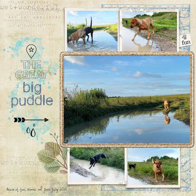 Great Big Puddle