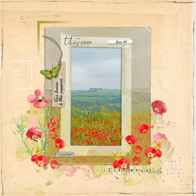 Our house and the poppies