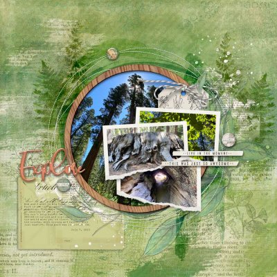 Explore