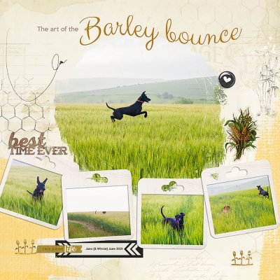 The art of the Barley Bounce