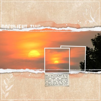 Setting Sun