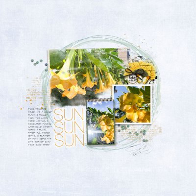 2021-8-8-Sun.jpg