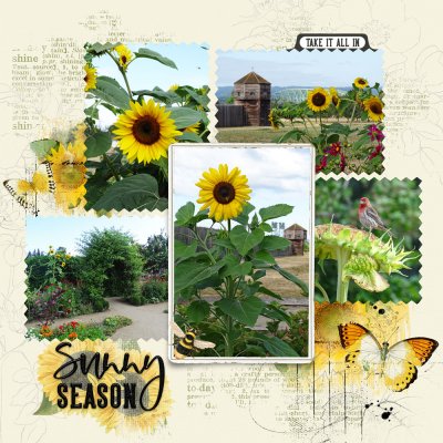 Sunflowers at the Fort
