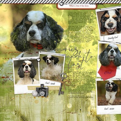 Many Faces of CarlWeb.jpg