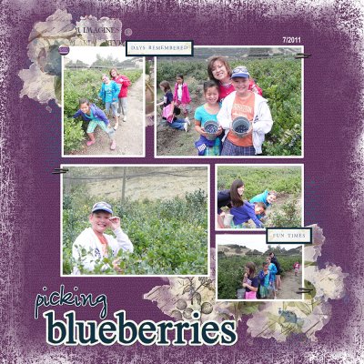 Blueberry Picking