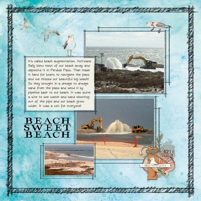 Beach Augmentation