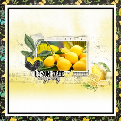 Lemon Tree