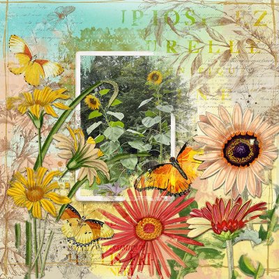Sunflowers