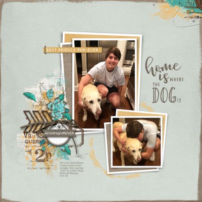 Home is where the dog is