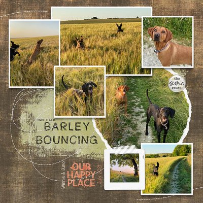 Even more Barley Bouncing