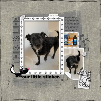 Little Stinker
