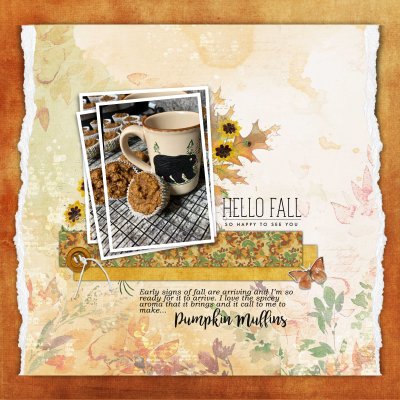 Pumpkin Muffins