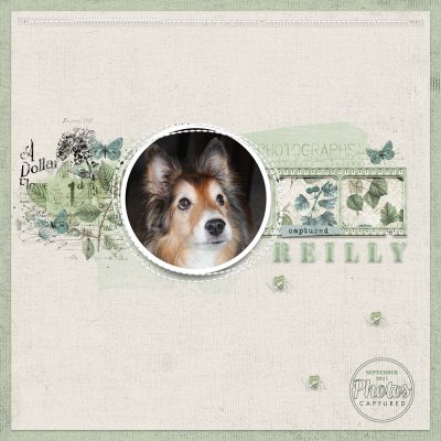 Reilly
