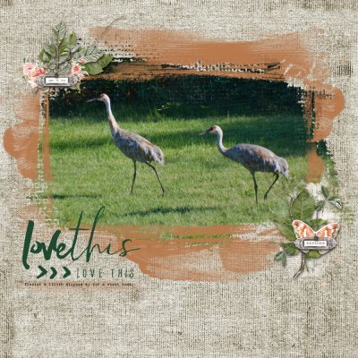 itunes Sept 2021