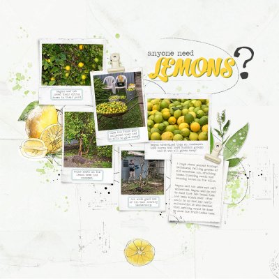 Anyone need Lemons?