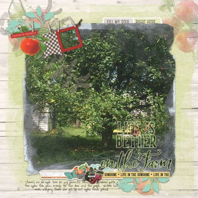 iTunes - September Farm - September 20