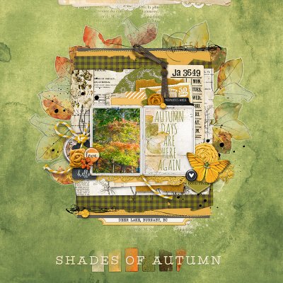 Shades of Autumn