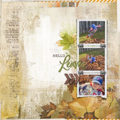 hello leaves