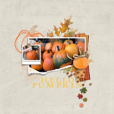 October Color Spot - Pumpkins - October 4