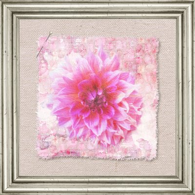 Dahlia Texture