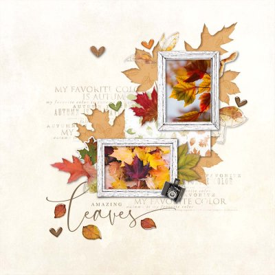 Amazing leaves